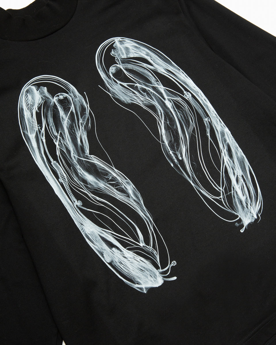 【23AW】LS-プレイ