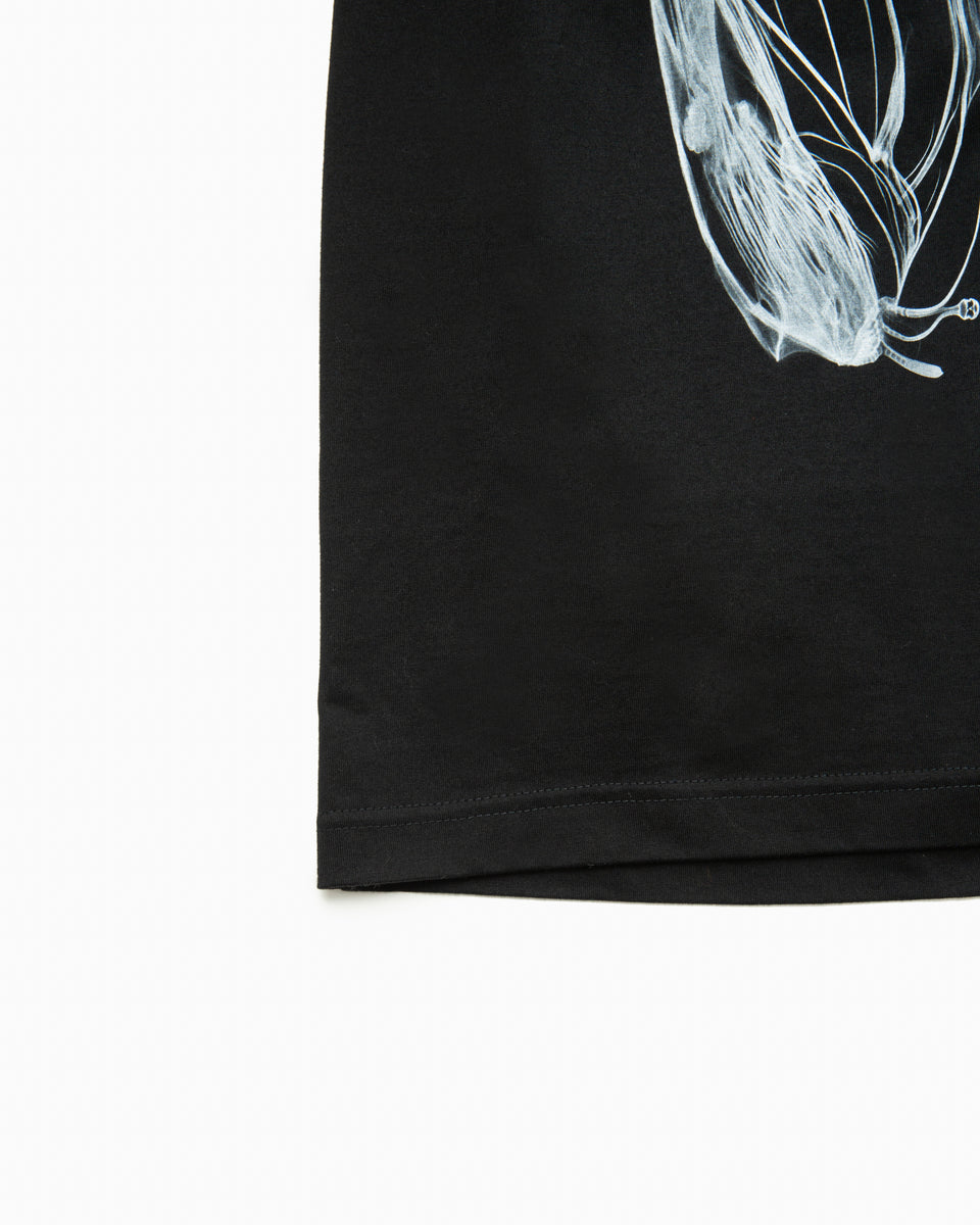 【23AW】LS-プレイ